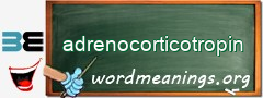 WordMeaning blackboard for adrenocorticotropin